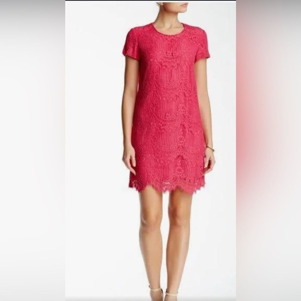CeCe Women's Pink Lace Shift Dress Short Sleeve Scallop Hem Size 2